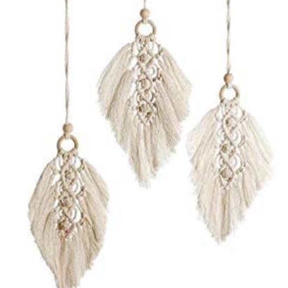 🪴🌻 Welcome! 🍄🌿 - Picture 9 of 17